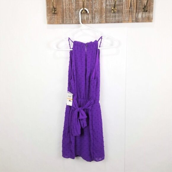 Bar III Purple Swiss Dot Keyhole Halter Romper - Picture 4 of 7